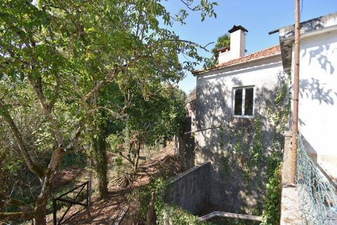 Farm i Penela, Coimbra, Penela - € 180.000 | Ref: 739339 - foto 6