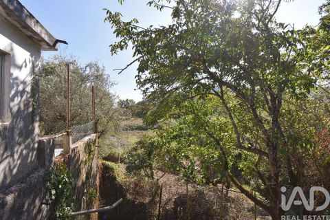 Farm i Penela, Coimbra, Penela - € 180.000 | Ref: 739339 - foto 11