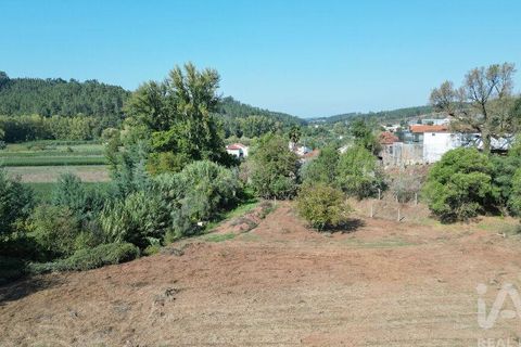 Farm i Penela, Coimbra, Penela - € 180.000 | Ref: 739339 - foto 29