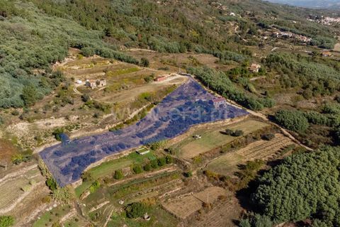 Landejendom i Covilha, Castelo Branco, Covilha - € 105.000 | Ref: 111250207 - foto 3