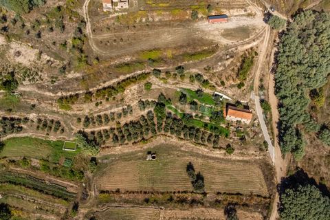 Landejendom i Covilha, Castelo Branco, Covilha - € 105.000 | Ref: 111250207 - foto 4