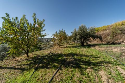 Landejendom i Covilha, Castelo Branco, Covilha - € 105.000 | Ref: 111250207 - foto 8