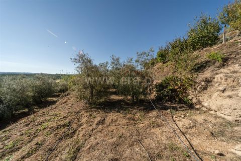 Landejendom i Covilha, Castelo Branco, Covilha - € 105.000 | Ref: 111250207 - foto 12