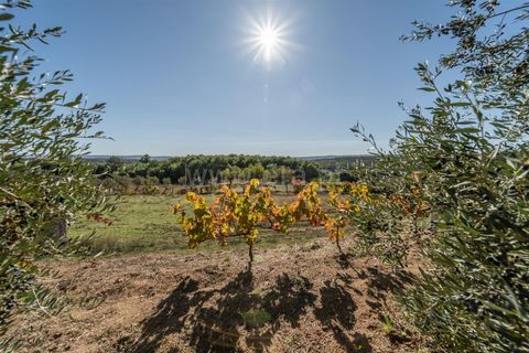 Landejendom i Covilha, Castelo Branco, Covilha - € 105.000 | Ref: 111250207 - foto 14