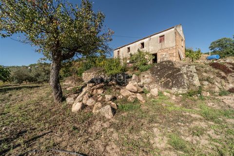 Landejendom i Covilha, Castelo Branco, Covilha - € 105.000 | Ref: 111250207 - foto 15