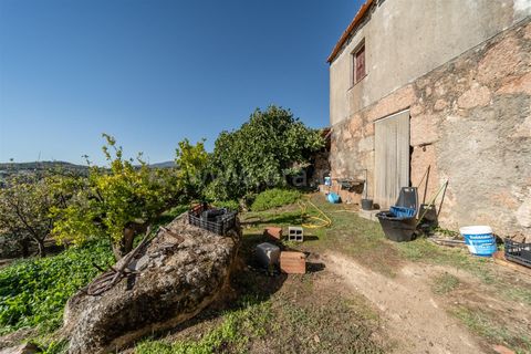 Landejendom i Covilha, Castelo Branco, Covilha - € 105.000 | Ref: 111250207 - foto 16