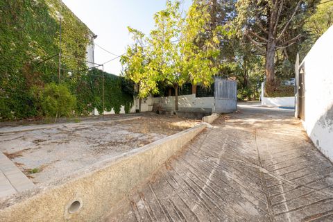 Villa a Dilar, Granada, Dilar - € 325.000 | Ref: GR3943/8251 - foto 4