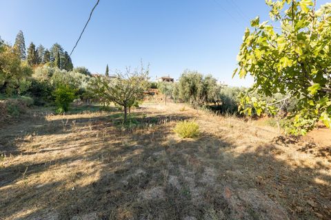 Villa a Dilar, Granada, Dilar - € 325.000 | Ref: GR3943/8251 - foto 10