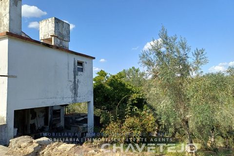 Landejendom i Serta, Castelo Branco, Serta - € 65.000 | Ref: 557/25 - foto 4