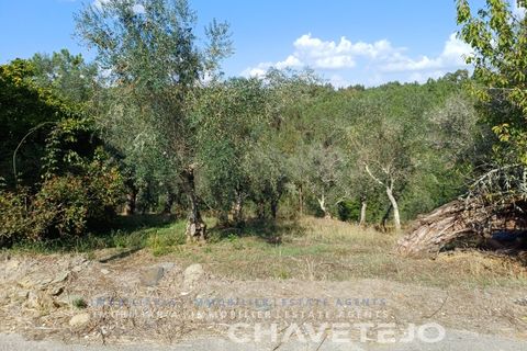 Landejendom i Serta, Castelo Branco, Serta - € 65.000 | Ref: 557/25 - foto 6