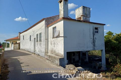 Landejendom i Serta, Castelo Branco, Serta - € 65.000 | Ref: 557/25 - foto 7
