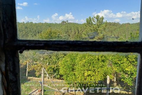 Landejendom i Serta, Castelo Branco, Serta - € 65.000 | Ref: 557/25 - foto 28