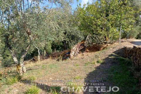 Landejendom i Serta, Castelo Branco, Serta - € 65.000 | Ref: 557/25 - foto 32