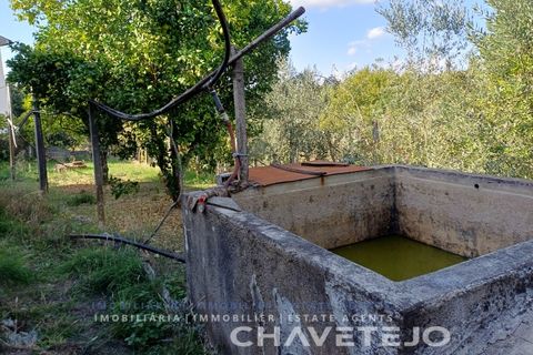 Landejendom i Serta, Castelo Branco, Serta - € 65.000 | Ref: 557/25 - foto 39