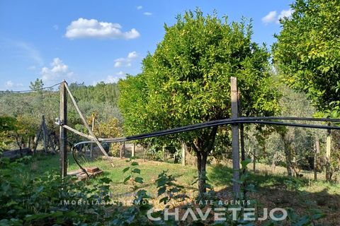 Landejendom i Serta, Castelo Branco, Serta - € 65.000 | Ref: 557/25 - foto 41