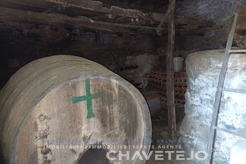 Landejendom i Serta, Castelo Branco, Serta - € 65.000 | Ref: 557/25 - foto 44