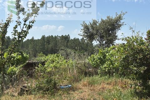 Villa a Castelo Branco, Castelo Branco, Castelo Branco - € 36.000 | Ref: 5673/AC-FA - foto 23