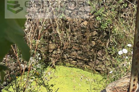 Villa a Castelo Branco, Castelo Branco, Castelo Branco - € 36.000 | Ref: 5673/AC-FA - foto 24