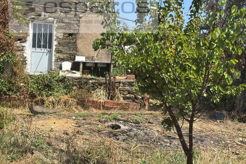 Villa a Castelo Branco, Castelo Branco, Castelo Branco - € 36.000 | Ref: 5673/AC-FA - foto 3