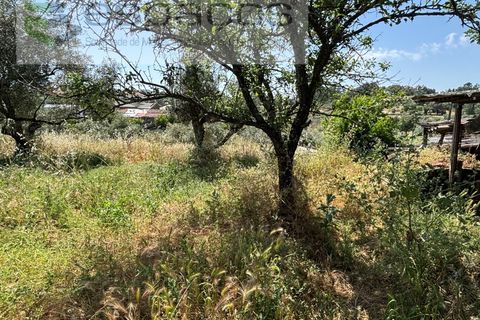 Villa a Castelo Branco, Castelo Branco, Castelo Branco - € 36.000 | Ref: 5673/AC-FA - foto 25