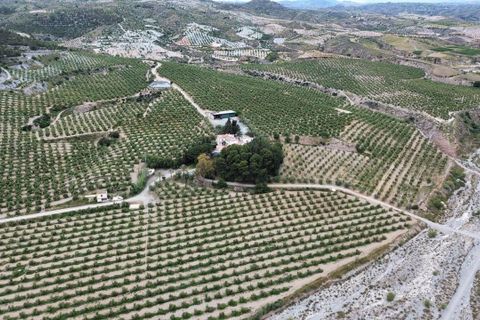 Helårsgrund i Murcia, Murcia, Murcia - € 2.850.000 | Ref: AG19MLSC6544065 - foto 3