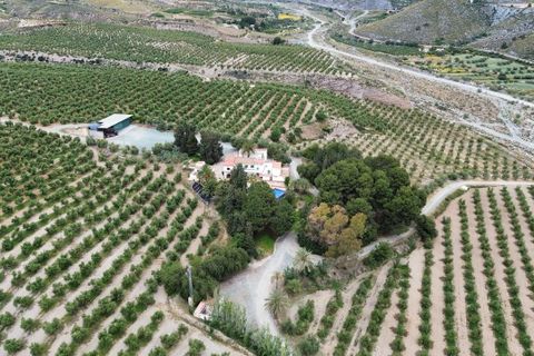 Helårsgrund i Murcia, Murcia, Murcia - € 2.850.000 | Ref: AG19MLSC6544065 - foto 4