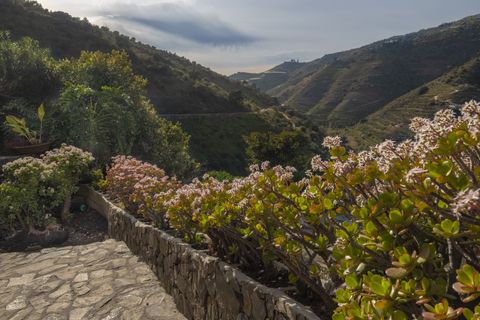 Villa i Sayalonga, Malaga, Sayalonga - € 690.000 | Ref: PANR-15953 - foto 5