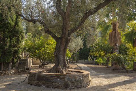 Villa i Sayalonga, Malaga, Sayalonga - € 690.000 | Ref: PANR-15953 - foto 16