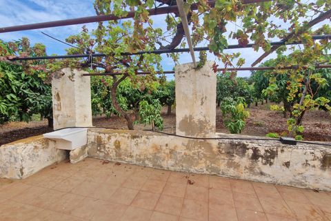 Farm hus i Trapiche, Malaga, Trapiche - € 590.000 | Ref: AX1404 - foto 33