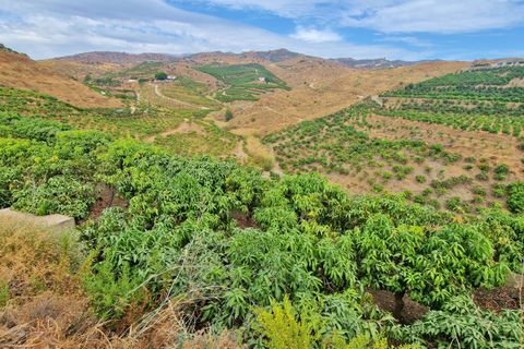 Farm hus i Trapiche, Malaga, Trapiche - € 590.000 | Ref: AX1404 - foto 44