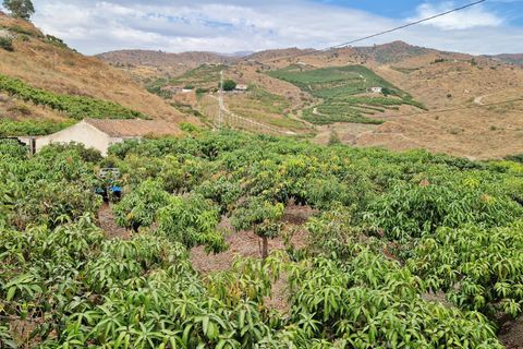 Farm hus i Trapiche, Malaga, Trapiche - € 590.000 | Ref: AX1404 - foto 45