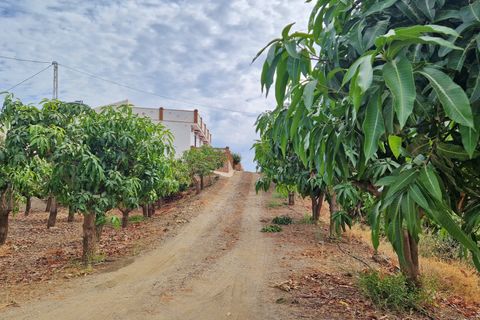 Farm hus i Trapiche, Malaga, Trapiche - € 590.000 | Ref: AX1404 - foto 41