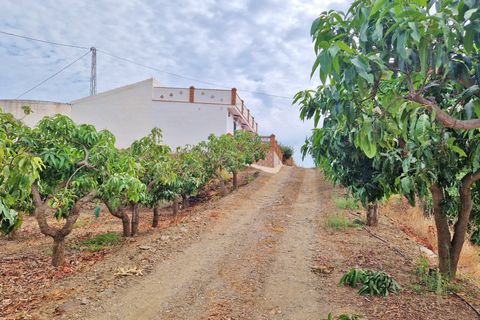 Farm hus i Trapiche, Malaga, Trapiche - € 590.000 | Ref: AX1404 - foto 37