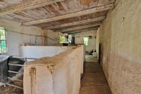 Farm hus i Trapiche, Malaga, Trapiche - € 590.000 | Ref: AX1404 - foto 28