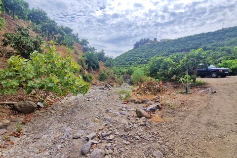 Farm hus i Trapiche, Malaga, Trapiche - € 590.000 | Ref: AX1404 - foto 36