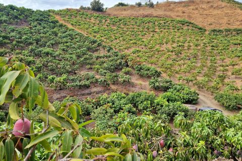 Farm hus i Trapiche, Malaga, Trapiche - € 590.000 | Ref: AX1404 - foto 38