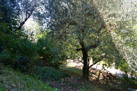 Villa i Fabro, Terni, Fabro - € 120.000 | Ref: OR8294M-679970 - foto 22