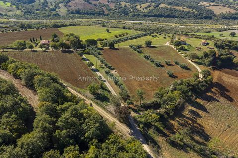 Villa a Scansano, Grosseto, Scansano - € 2.170.000 | Ref: D70-685416 - foto 3