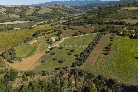 Villa a Scansano, Grosseto, Scansano - € 2.170.000 | Ref: D70-685416 - foto 5