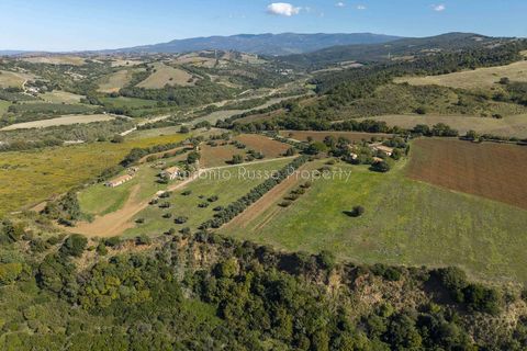 Villa a Scansano, Grosseto, Scansano - € 2.170.000 | Ref: D70-685416 - foto 6