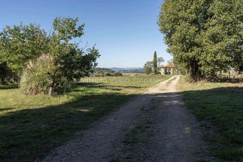 Villa a Scansano, Grosseto, Scansano - € 2.170.000 | Ref: D70-685416 - foto 9