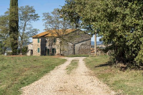 Villa a Scansano, Grosseto, Scansano - € 2.170.000 | Ref: D70-685416 - foto 11
