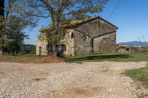 Villa a Scansano, Grosseto, Scansano - € 2.170.000 | Ref: D70-685416 - foto 12