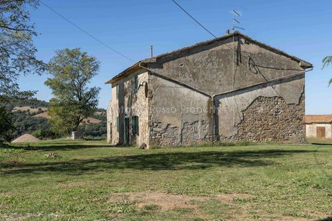Villa a Scansano, Grosseto, Scansano - € 2.170.000 | Ref: D70-685416 - foto 13