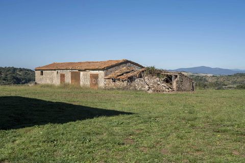 Villa a Scansano, Grosseto, Scansano - € 2.170.000 | Ref: D70-685416 - foto 14
