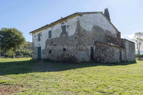 Villa a Scansano, Grosseto, Scansano - € 2.170.000 | Ref: D70-685416 - foto 15