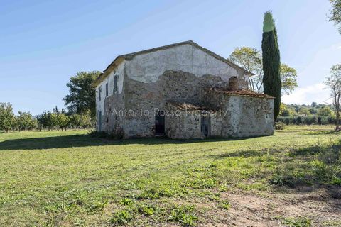 Villa a Scansano, Grosseto, Scansano - € 2.170.000 | Ref: D70-685416 - foto 16