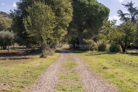 Villa a Scansano, Grosseto, Scansano - € 2.170.000 | Ref: D70-685416 - foto 18
