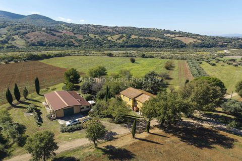 Villa a Scansano, Grosseto, Scansano - € 2.170.000 | Ref: D70-685416 - foto 20