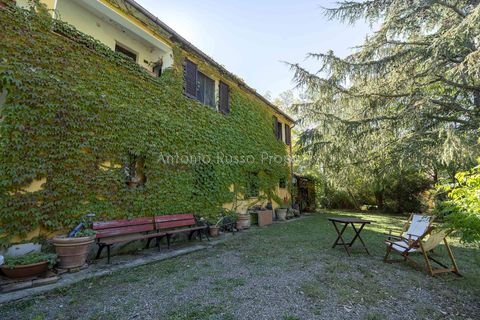 Villa a Scansano, Grosseto, Scansano - € 2.170.000 | Ref: D70-685416 - foto 21